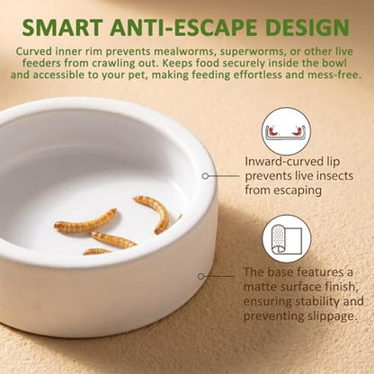 3 Pack Escape Proof Reptile Feeding Dish, Reptile Food and Water Bowl, Ceramic Worm Dish for Bearded Dragon, Lizard, Gecko