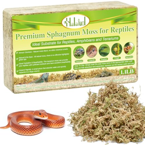 Sphagnum Moss for Reptiles, 1.1 lb Natural Terrarium Substrate Bedding | Long-fibered Sphagnum Moss for Reptile, Holds Humidity for Bearded Dragons, Geckos, Snakes, Turtles, and Hermit Crabs - size: 1.1 LB