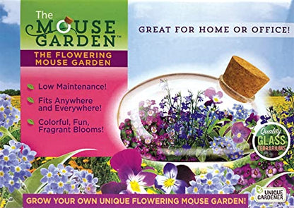 Mini Office Flower Glass Terrarium Starter Kit with Complete Supplies - The Flowering Mouse Tiny Garden - Easy to Maintain IndoorPlants - Perfect for The Office Or Home Tabletop