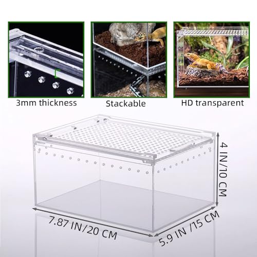 Small Acrylic Reptile Enclosure, No Assembly Small Reptile Breeding Box for Insect Tarantula Hermit Crab Jumping Spider (8x6X4 in) - size: 8x6X4 in
