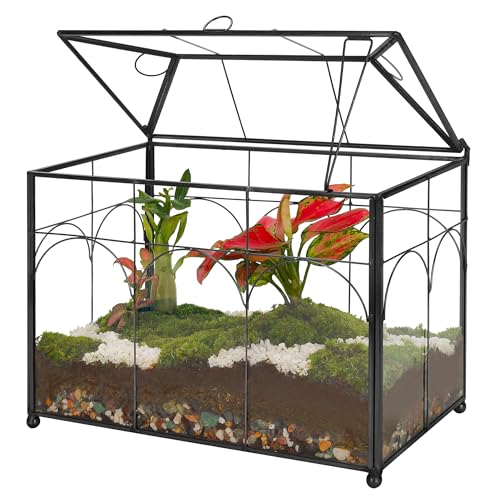 REDHUGO Glass Planter Terrarium with Lid, Indoor Display Box, Black | Handmade Glass Terrarium with Lid for Succulents, Cacti, Air Plants and Flowers, Ideal for Indoor Tabletop Display - color: Black