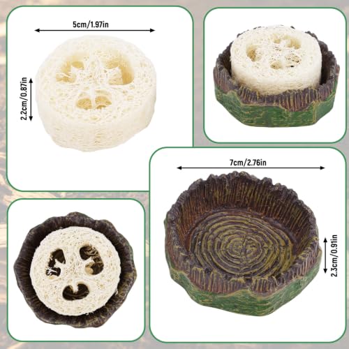 NQEUEPN Cockroach Water Basin & 3 Loofah, Reptile Container Supplies | Cockroach Water Basin with Luffa Set Durable Reptile Live Habitat Supplies for Crickets Springtails Isopods