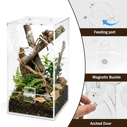 Jumping Spider Enclosure Set, Terrestrial Arboreal Combo, Acrylic Tarantula Terrarium, Praying Mantis Habitat, No Assembly, 2-Size Kit, Large - size: Large