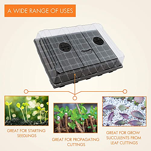 Gardzen 5 Pack Seed Starter Trays with Vented Domes 350 Cell | Smiling Face Plant Germination Kit with Humidity Domes and Bases, 18"x14" Tray for Starting Seeds - size: 70-Cell Black Eyes 5-Pack
