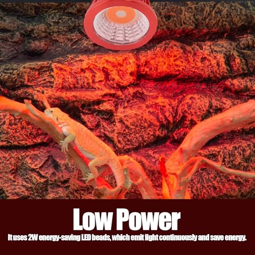 ciciglow Reptile Heat Lamp Bulb, Simulates Environment, 2W LED Energy Saving with E27 Standard Thread, Night for Lizards, Snakes, Frogs (ND-28 110v)