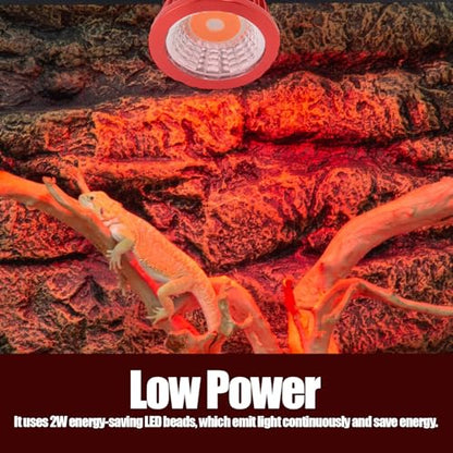 ciciglow Reptile Heat Lamp Bulb, Simulates Environment, 2W LED Energy Saving with E27 Standard Thread, Night for Lizards, Snakes, Frogs (ND-28 110v)