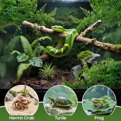 RAINFLOW 2PCS Fake Hanging Plants - Artificial Reptile Habitat Vines | UV Resistant Artificial Boston Ferns for Bearded, Dragon, Snake. Geckos, Hermit Crab, Lizard, Chameleon, 30 Inch - size: 30"x5.1"
