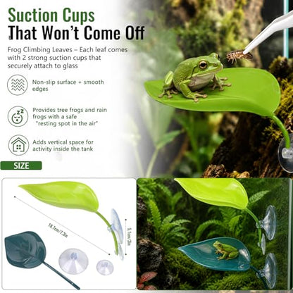 Frog Tank Accessories Set – Complete Tree Frog Habitat Kit with Hideout Cave, Water Dish, Feeding Bowl, Suction Cup Plants & Climbing Decor | Toad Terrarium Supplies for Amphibians