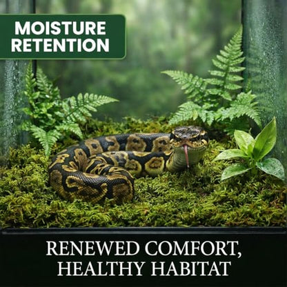 Sukh Sphagnum Moss for Reptiles - Green Terrarium Moss Substrate, 5oz | Habitat Bedding for Gecko, Snake, Turtle, Frog, Bearded Dragon, Jumping Spider, Chameleon, Enclosure & Tank Accessories Decor - size: 5 Ounces