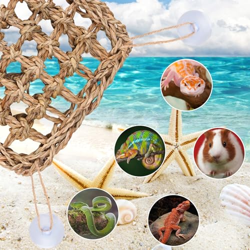 Hermit Crab Climbing Toys,Lizard Seagrass Mat,Hermit Crab Hammock with Suction Cups,Hermit Crab Supplies Decor Habitat,Small Reptile Tank Accessories for Guinea Pigs Hamsters Geckos (Square) - size: Square