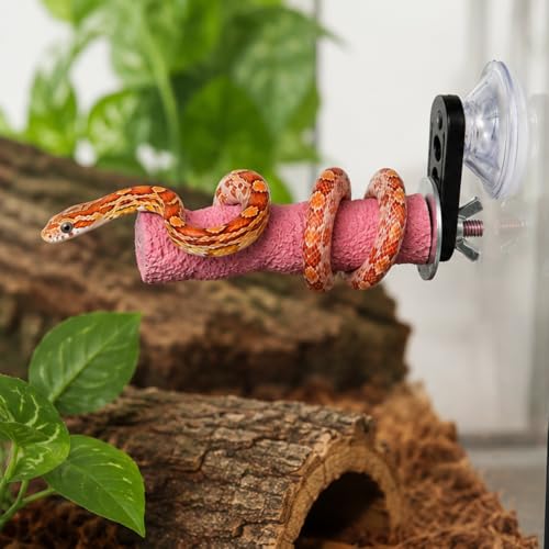 Pink Resin Snake Climbing Branch, 4.1" Gourd-Shaped Reptile Ledge with Strong Suction Cup, Easy to Clean Terrarium Accessories for Corn Snakes and Small Reptiles (3.7 oz)