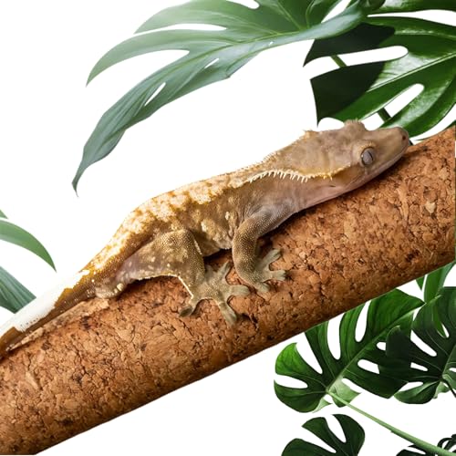 Cork Branch for Reptiles – 15.7" Natural Climbing Wood Sticks for Crested Geckos, Tree Frogs, Bearded Dragons, Snakes, Lizards & Chameleons – Perfect Terrarium Habitat Decor