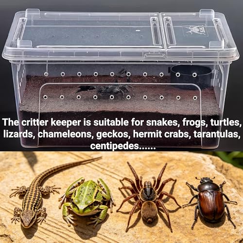 Tlence 2 Pack Critter Keeper, 12.6"x8.7"x6" Clear Plastic Enclosure Terrarium, Portable Transport Container with Feeding Bowl, Small Hatching Container with Ventilated Lid for Snake, Lizard, Gecko