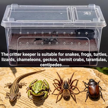 Tlence 2 Pack Critter Keeper, 12.6"x8.7"x6" Clear Plastic Enclosure Terrarium, Portable Transport Container with Feeding Bowl, Small Hatching Container with Ventilated Lid for Snake, Lizard, Gecko