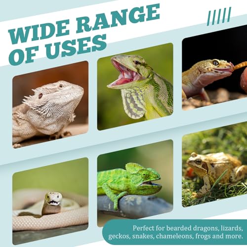 Weysat Reptile Corner Hunting Bowl, Transparent Acrylic Reptile Feeder Box with 4 Suction Cups, Tank and Aquarium Accessories for Lizard Bearded Dragon Chameleon Gecko Frog, 3.9 x 3.9 x 6.1 Inches