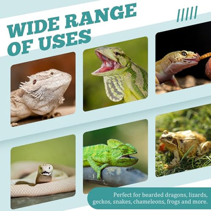 Weysat Reptile Corner Hunting Bowl, Transparent Acrylic Reptile Feeder Box with 4 Suction Cups, Tank and Aquarium Accessories for Lizard Bearded Dragon Chameleon Gecko Frog, 3.9 x 3.9 x 6.1 Inches