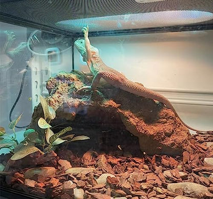 Reptile Simulation Rock Hideouts Cave Amphibian Hides Resin Habitat Decor Shelter for Gecko Leopard Lizards Toad Turtle (Large)