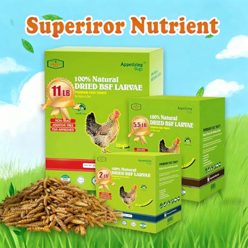 5.5 LBS Dried Black Soldier Fly Larva/Dried Mealworms - 100% Natural BSF Larvae - 85XMore Calcium Than Mealworms - High Calcium Treats for Chickens, Birds, Reptiles, Hedgehog, Geckos, Turtles- 5.5 LBS - size: 5.5 Pound (Pack of 1)