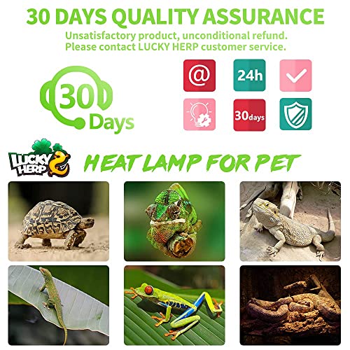 LUCKY HERP 4 Pack 50W Reptile Heat Lamp Bulb (2nd Gen), Amphibian Basking Light Bulb, Reptile Daylight Bulb for Turtle, Bearded Dragon, Lizard Heating Use - size: 50