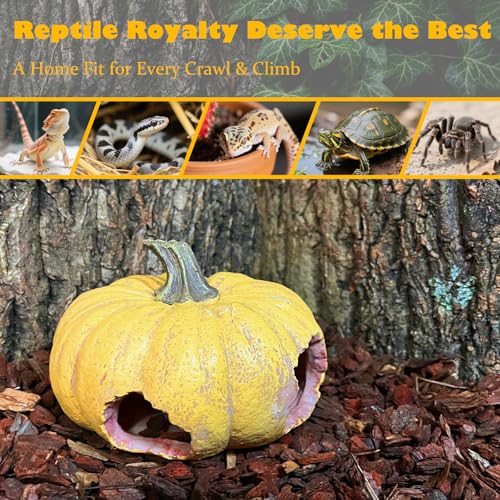 Pumpkin Leopard Gecko Hide Reptile Bearded Dragon Tank Hideout Caves Accessories Halloween Turtle Lizard Snake Décor Amphibian Habitat Tortoise Terrarium Decoration - style: Pumpkin