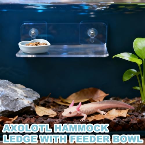 Axolotl Feeding Shelf with Feeder Bowl, Axolotl Hammock for Aquarium with Feeding Tray, Axolotl Tank Accessories for Bearded Dragons, Geckos, Lizards, Hamsters, Crabs - color: Feeding Shelf with Blue Feeder Bowl