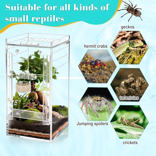 Jumping Spider Magnetic Water Feeding Dish for Small Pets | Magnetic Water Bowl with Dropper & Tweezer-Tiny Food Dishes Water Dish for Jumping Spider, Tarantula & Other Small Pets