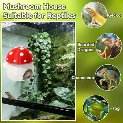 3D Red Mushroom House Reptile Hides and Caves, Reptile Hideout | Shelter for Geckos Bearded Dragons Chameleons Frogs with Dual Suction Cups for Wall or Ground