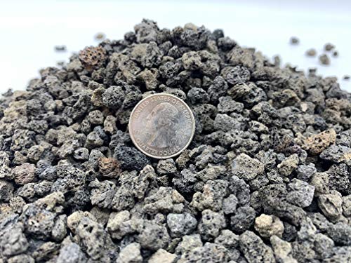Black Lava Rock | 2 Quarts Bag | 1/4” Particle Size | Soil Aggregate for Bonsai, Cactus, Succulents, Aquariums, and More | Enables Optimal Drainage and Soil Aeration | The Bonsai Supply