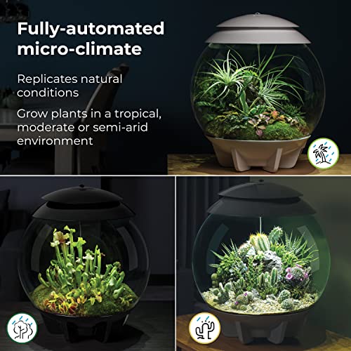 biOrb AIR 30, Automated Acrylic Terrarium for Desert or Tropical Plants, Black - color: Black