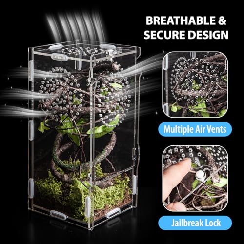 Jumping Spider Enclosure, Acrylic Praying Mantis Habitat, 8"*4"*4" Insect Terrarium, Small Reptile Cage Accessories with Secure Lock for Arboreal Tarantula, Snails, Bug, Lizard - size: Small-8''x4''x4''
