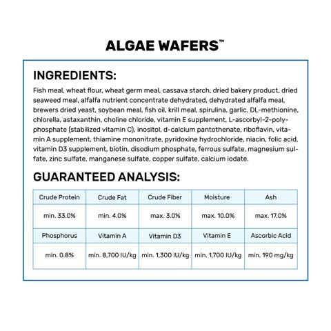 Hikari Algae Wafers for Pets, 0.70-Ounce - size: 0.7 Ounce (Pack of 1)