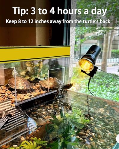 Turtle Reptile Heat Lamp Bulb 50W 120V,4Pcs Heat Bulb | UVA Reptile Light for Turtle Tank,Fits Reptiles and Amphibian Tanks, Terrariums and Cages, Works with Various Lamp Fixtures