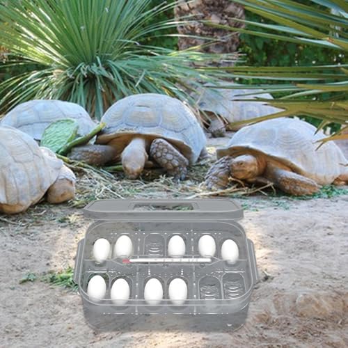 Reptile Breeding Incubator 12 Grids Reptile Egg Incubator Tray | Transparent Amphibians Incubation Tray for Gecko Lizards Snake Lions Mane