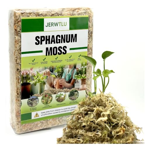 Natural Long Fiber Sphagnum Moss 42QT for Orchid Potting Mix, and Moss Pole for Plants Indoor. Ideal for Propagating Plants, Maintaining Humidity for Reptiles, Isopods in Paludarium, Aquascape (12 OZ) - size: 12 OZ