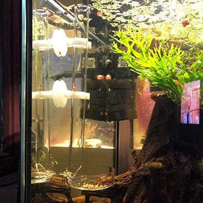 300mm Acrylic Aquarium Shrimp Feeding Tube Aquarium Clear Fish Food Feeder Tube for Fish Tank with 2pcs Suction Cups