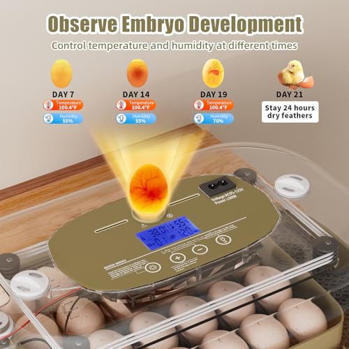 XOTTI Incubator for Hatching Eggs, 24 Egg Incubator with Precise Temperature Control, Auto Egg Turner, 360° Clear View, LED Candler, Alarm for Chicken Duck Quail Goose for Home School Farm Lab
