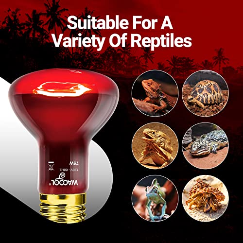 WACOOL 2 Pack Reptile Heat Lamp Bulbs,75W Infrared Basking Spot Light for Reptiles & Amphibians, Red Heat Lamp Bulb for Bearded Dragon Gecko Turtle Lizard - style: 75W-2 PACK