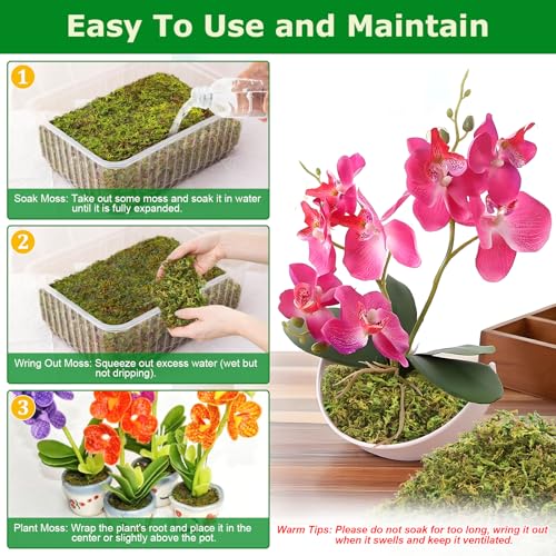 7OZ Sphagnum Moss for Plants, 10QT Natural Long Fiber Orchid Moss | Drainage & Moisture Retention, Green Plant Moss for Orchid Repotting, Carnivorous, Succulents, Reptile Bedding & Terrariums - size: 7OZ