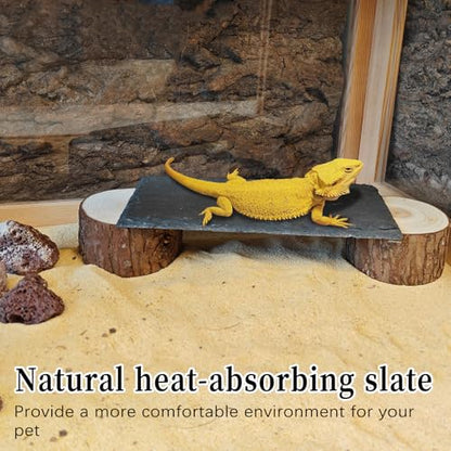 Bearded Dragon Basking Platform,Reptile Slate Rocks with Wooden Pile,Leopard Gecko Hides and Caves Climbing Tank Accessories for Lizards Snakes Tortoise Ball Python(Small)