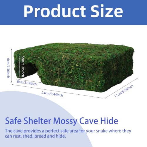 Handmade Reptile Moss Cave M, 9.4" Shelter for Gecko Hamster | Moss reptile cave hide, Smooth edges, no injury, Suitable for humid environments - color: M Green
