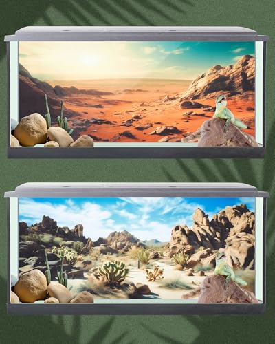 4 Pcs 48 x 18 Inch Reptile Habitat Background with Nano Glue Gobi Sun Cactus Stone and Green Tree Fern Stream Terrarium Background Polyester Durable Aquarium Accessories - color: Style1, size: 18 x 48 Inch