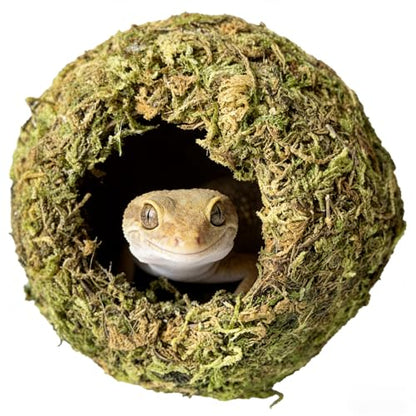 Reptile Hideout Cave - Natural Coconut Moss Terrarium Decor & Snake Hide - Leopard Gecko Hide - Reptile Tank Accessories & Habitat Hideouts for Bearded Dragon