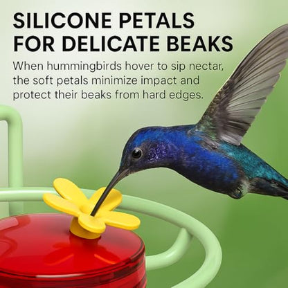 Dreamdrawer Window Hummingbird Feeder, Small Hummingbird Feeder for Outdoors with Strong Suction Cup - Metal Base & 6 Feeding Ports, Easy to Clean and Refill - color: 1PC-Green