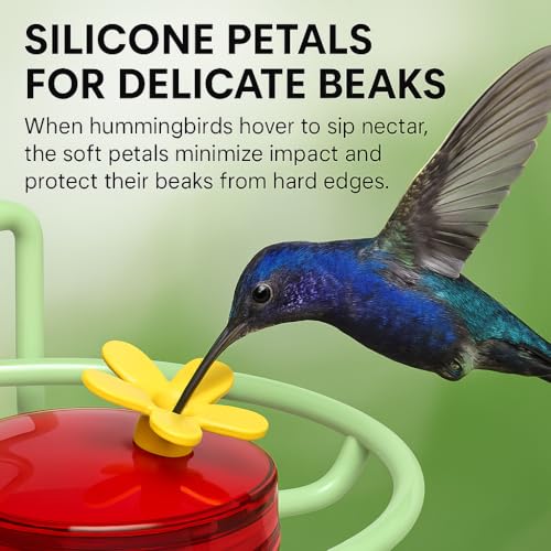 Dreamdrawer 2 Pack Window Hummingbird Feeder, Small Hummingbird Feeder for Outdoors with Strong Suction Cup - Metal Base & 6 Feeding Ports, Easy to Clean and Refill, Green - color: 2PC-Green