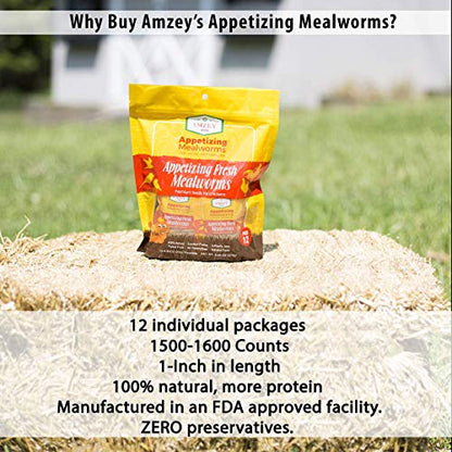 Amzey Fresh Mealworms 8.4 oz (1600 Count Total, 12 Bags) Superior to Live Meal Worms - Premium Food for Leopard Gecko, Birds, Sugar Glider, Hedgehog - High Nutritients, No Preservatives