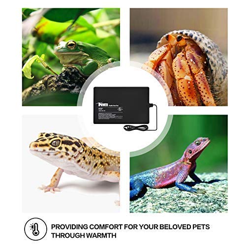 iPower 8 by 12-Inch Reptile Heat Mat Under Tank Heater Terrarium Heating Pad Ideal for Spider Snake Tarantula Hermit Crab Turtle, Black - size: 8 X 12 Inch, style: 1 Pack