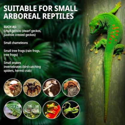 8"x8"x18"Tall Reptile Glass Tank Kit,Pre-Assembled Vertical Small Reptile Terrarium for Arboreal Species,Geckos,Chameleon,Tree Frog,Tarantula and Snake with Top and Front Openning Door