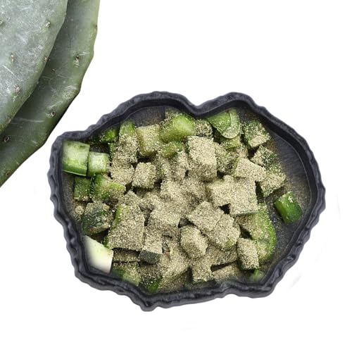 Reptile Water Dish, Reptile Feeding Dish Corner Bowl Breadworm Feeding Food Bowl, Terrarium Decor Bowls for Bearded Dragon Lizard Frog Leopard Gecko Tortoise Hermit Crab Chameleon (Large)