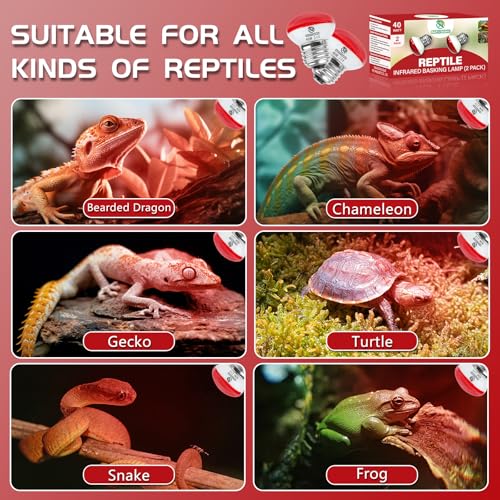 Infrared Reptile Heat Lamp, UVA Red Heat Light Bulb 40W, 2 Pack Reptile Heat Bulb, Infrared Basking Spot Light for Snake, Leopard Gecko, Turtle, Lizard - color: Red(40*2)