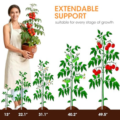 Aieve Extendable Plant Stakes, 13 to 49in Telescoping Monstera Plant Stakes | Stainless Steel Indoor Outdoor Garden Stake Support Sticks for Tomato Vegetables Monstera Vine, 5 Packs